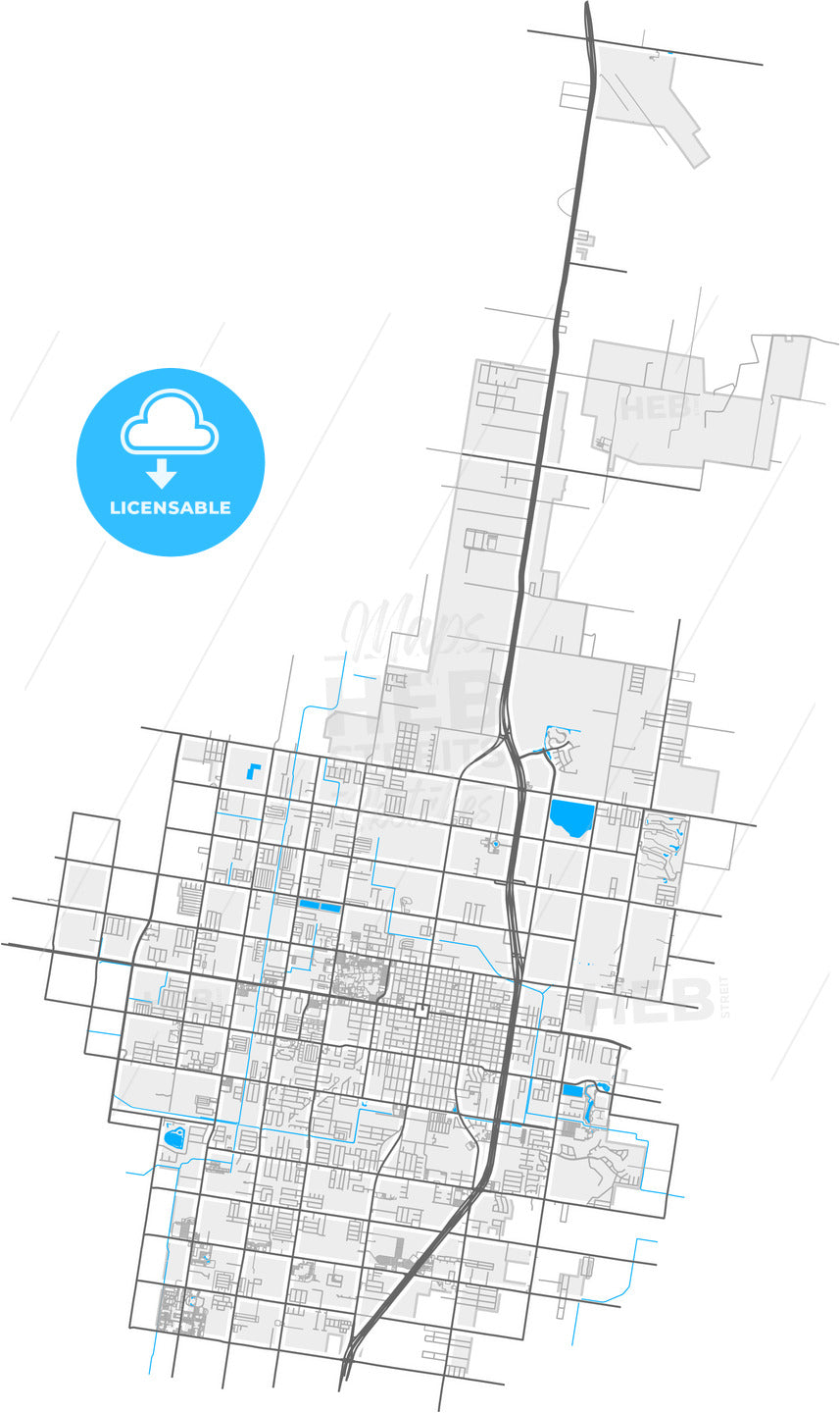 Edinburg, Texas, United States, high quality vector map