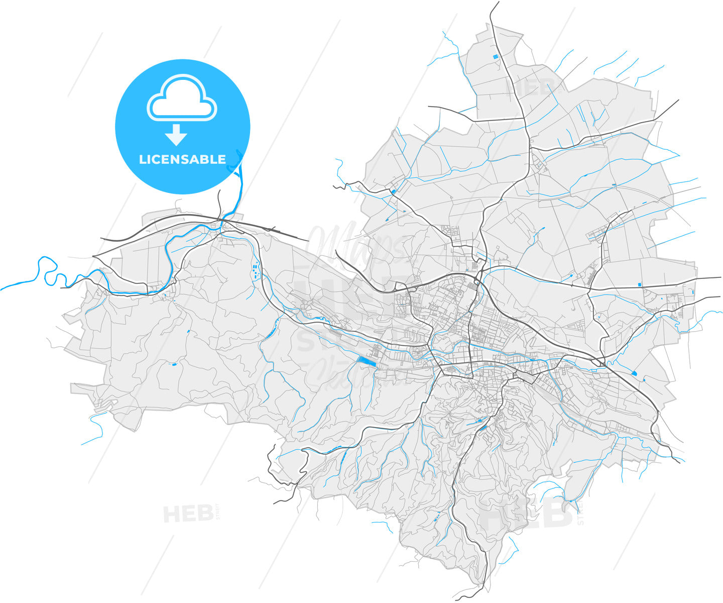 Eisenach, Thuringia, Germany, high quality vector map