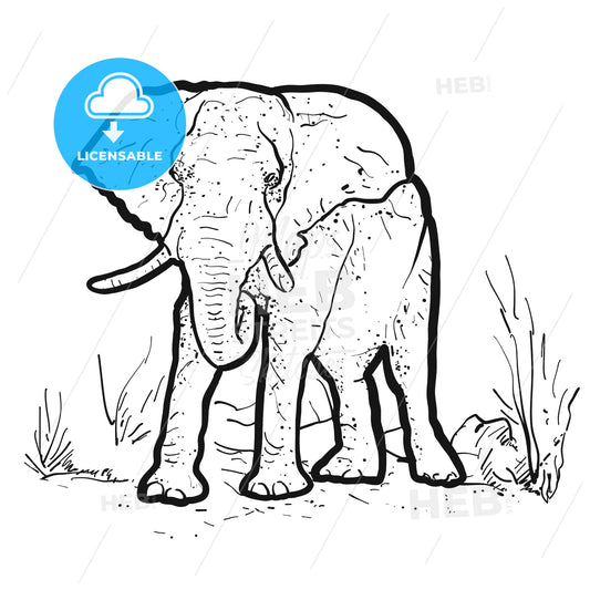 Elephant Outline Illustration – instant download