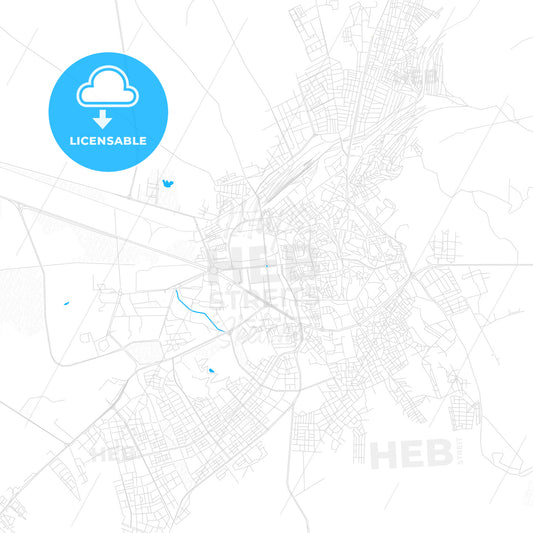 Erzurum, Turkey PDF vector map with water in focus