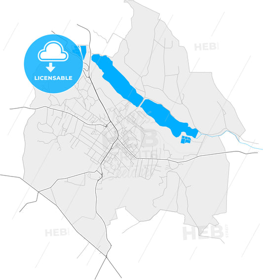 Fălticeni, Suceava, Romania, high quality vector map