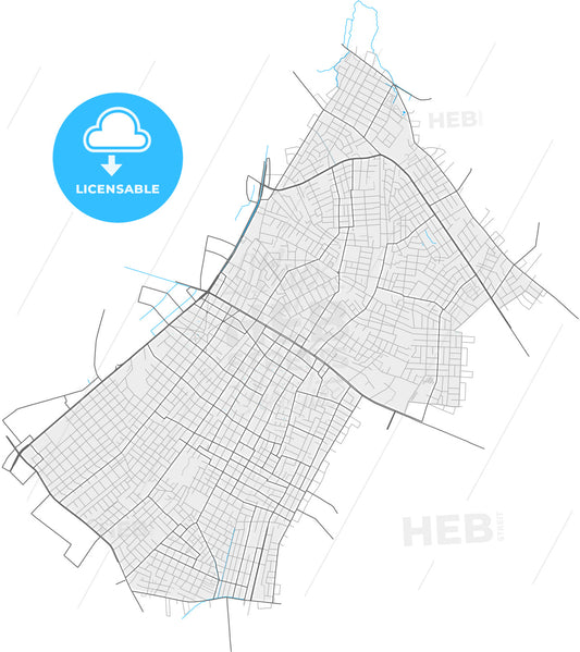 Fernando de la Mora, Paraguay, high quality vector map