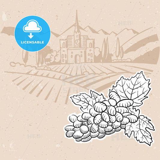 Grapes and Vineyard Farm, Menu Card Background Design – instant download