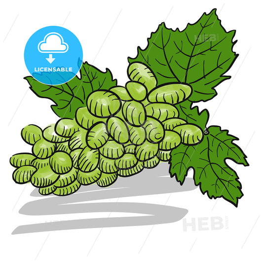 Green colored Sketched Bunch of Grapes – instant download