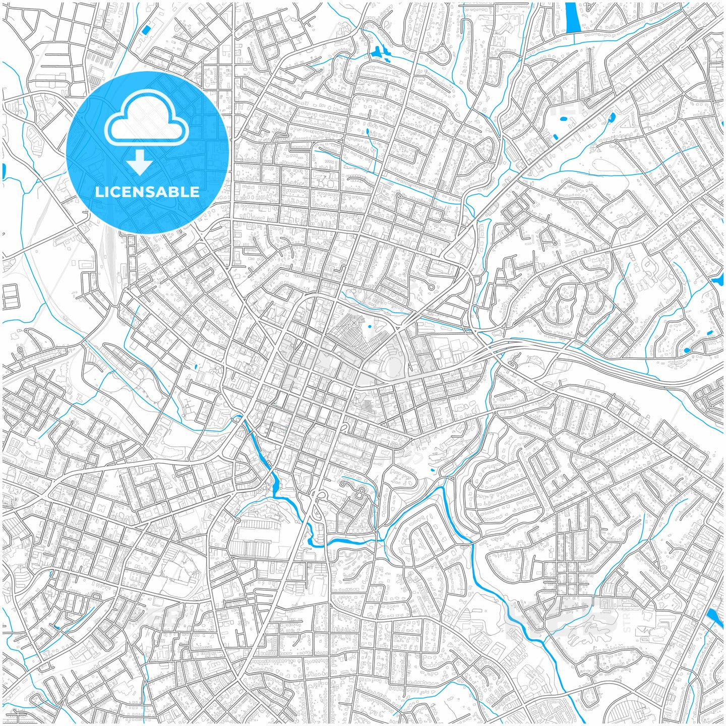 Greenville, South Carolina, United States, city map with high quality roads.