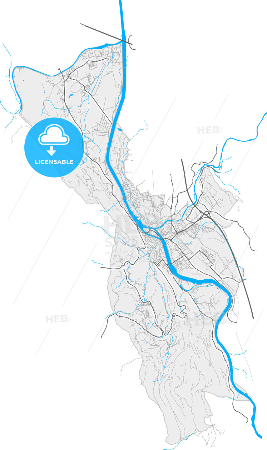 Hallein, Salzburg, Austria, high quality vector map