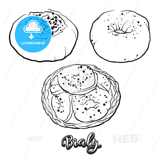 Hand drawn sketch of Bialy bread – instant download