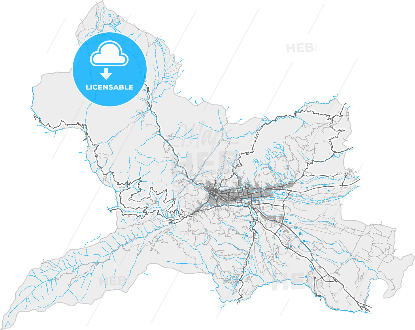 Ibague, Colombia, high quality vector map