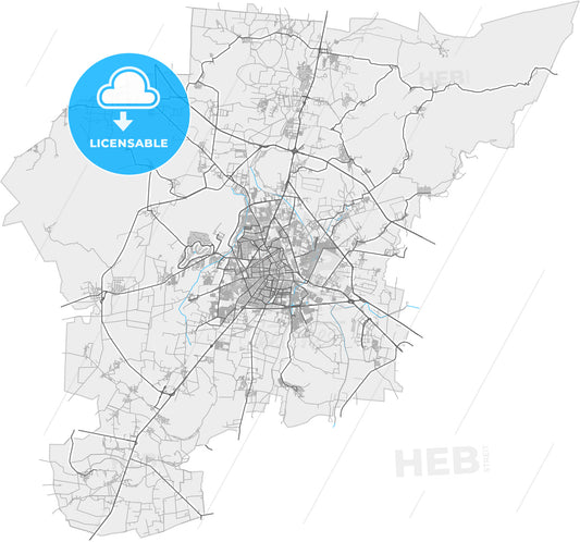 Irapuato, Guanajuato, Mexico, high quality vector map