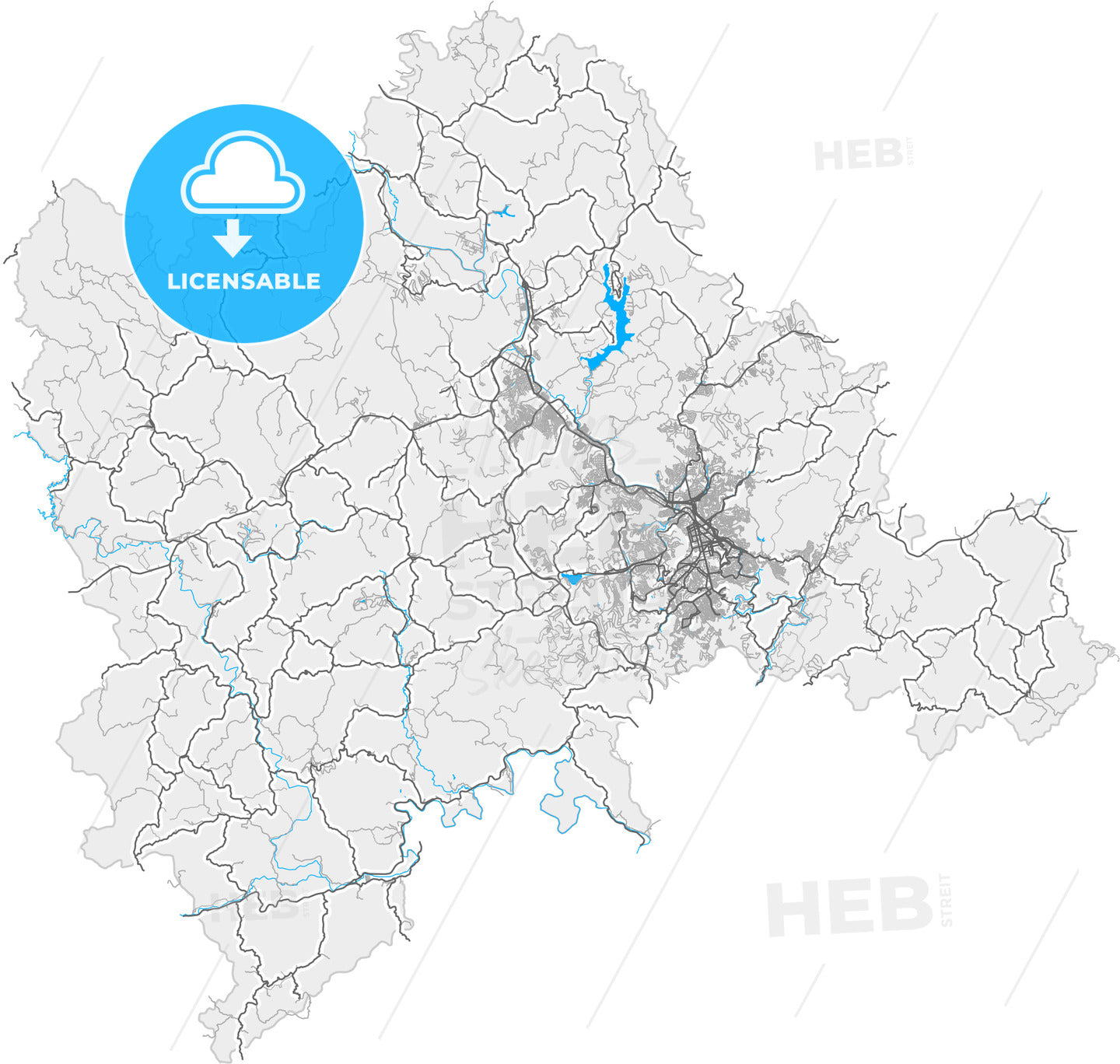 Juiz de Fora, Brazil, high quality vector map