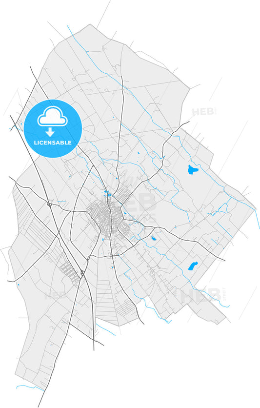 Kiskunfélegyháza, Bács-Kiskun, Hungary, high quality vector map