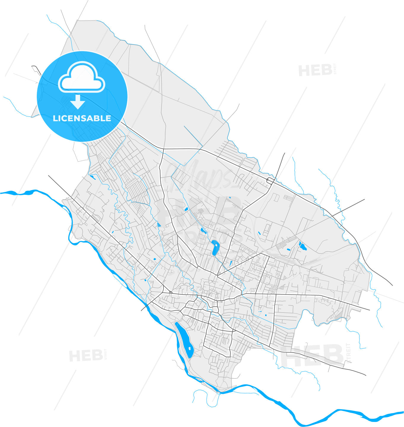 Kolomyia, Ivano-Frankivsk Oblast, Ukraine, high quality vector map