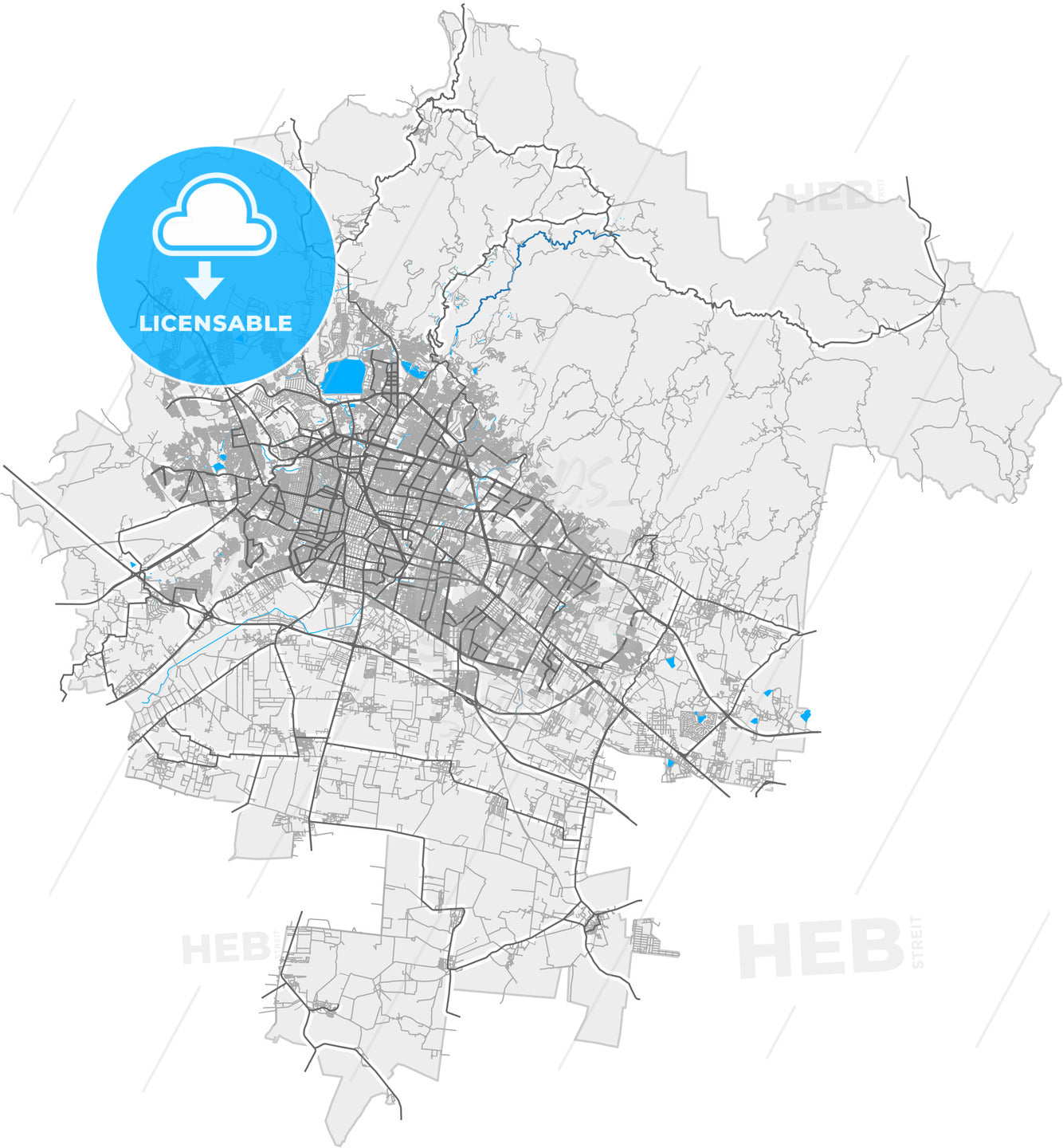 León, Guanajuato, Mexico, high quality vector map