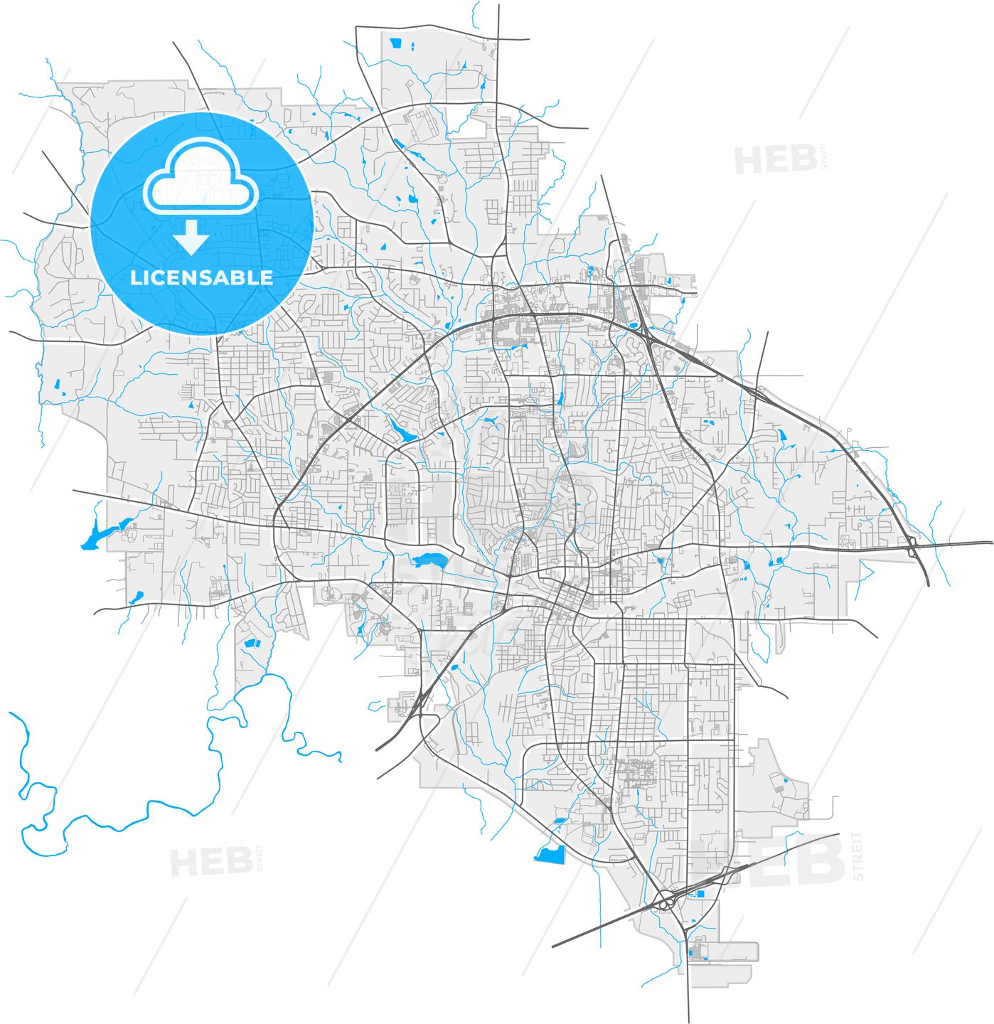 Longview, Texas, United States, high quality vector map