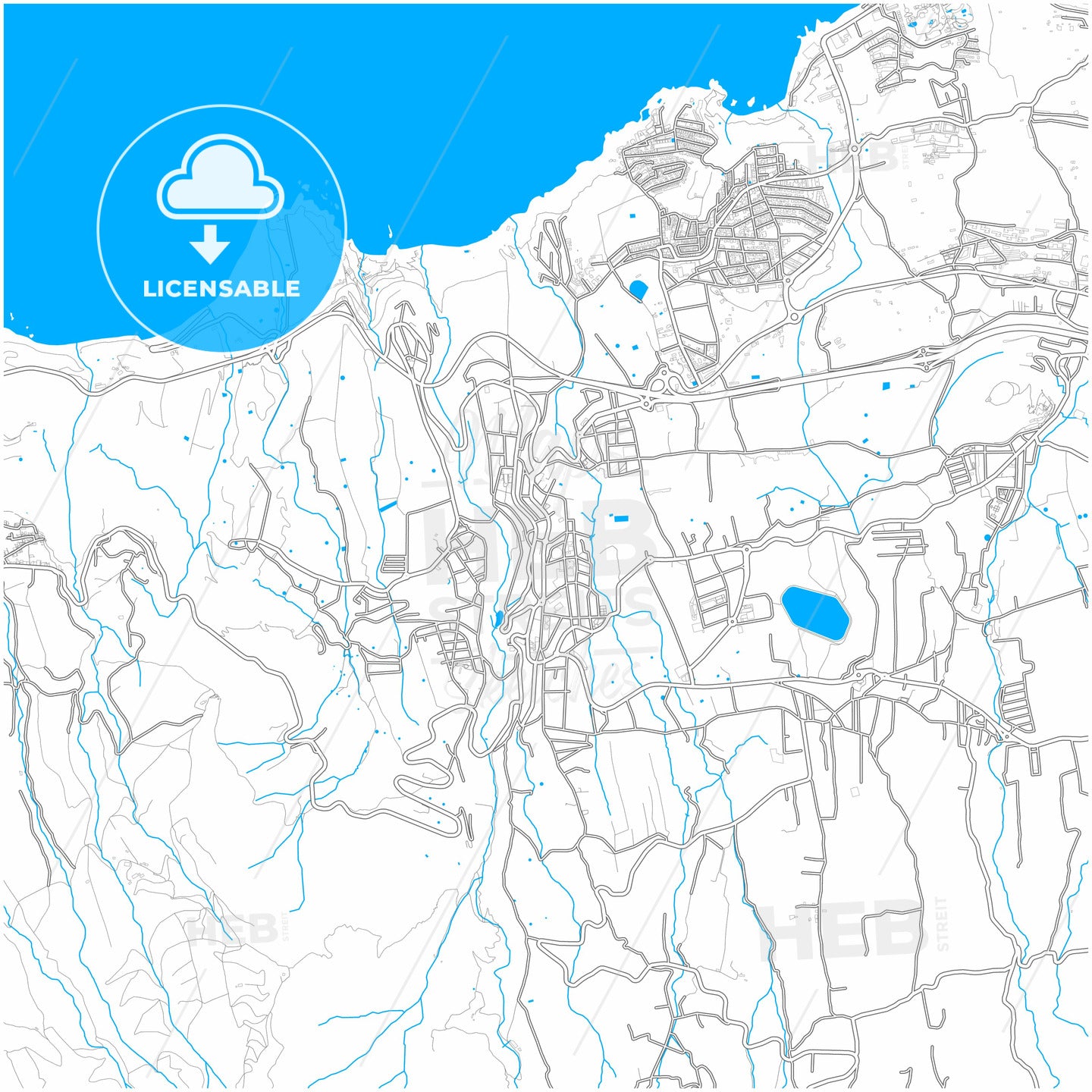 Los Realejos, Santa Cruz de Tenerife, Spain, city map with high quality roads.