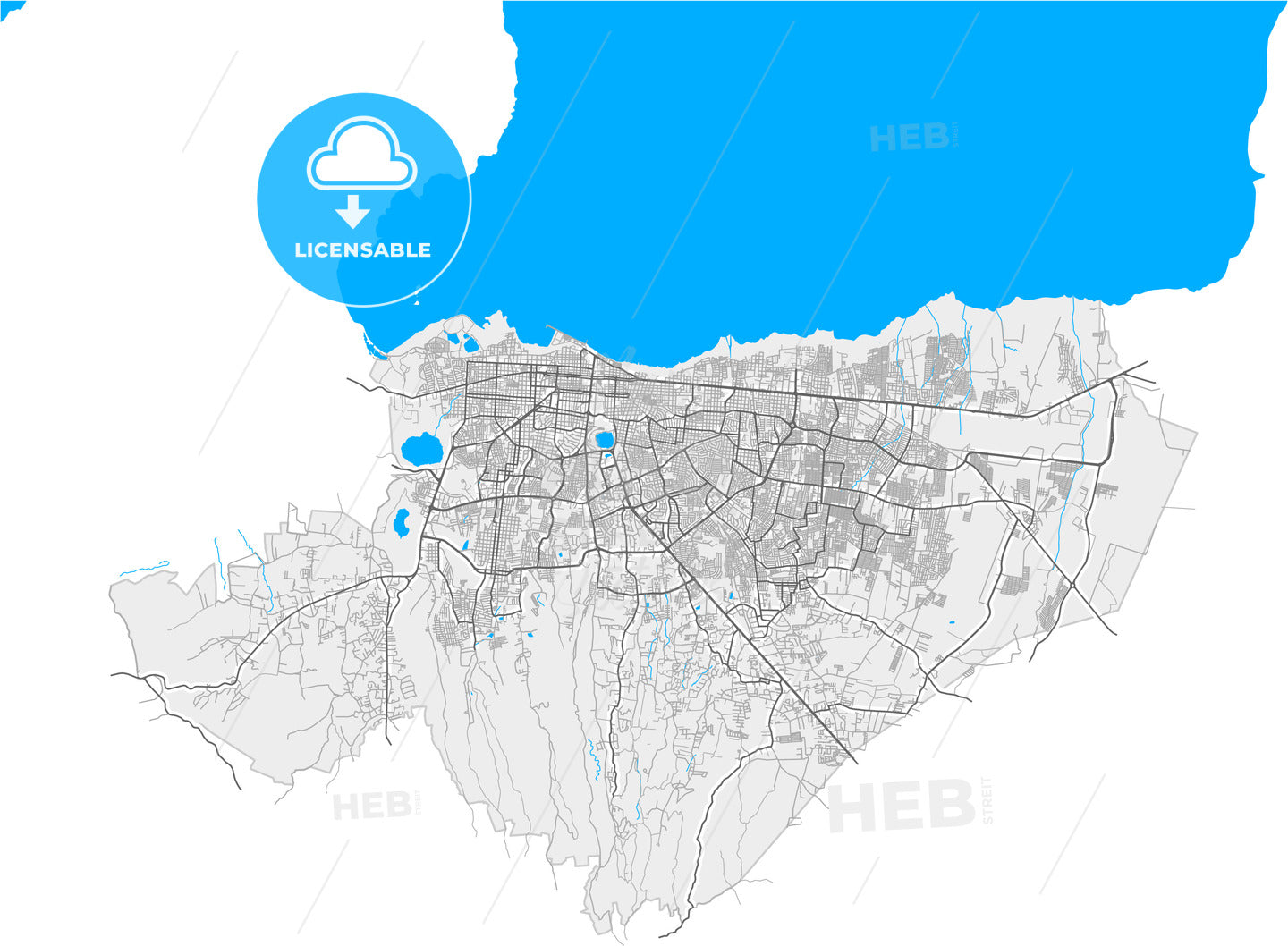 Managua, Managua, Nicaragua, high quality vector map