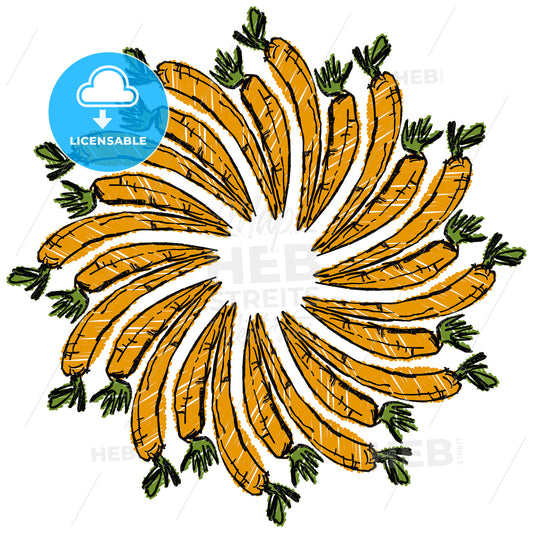 Many Carrots arranged in a circle on white – instant download