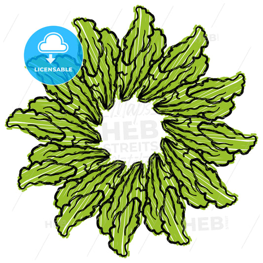 Many Lettuce arranged in a circle on white – instant download