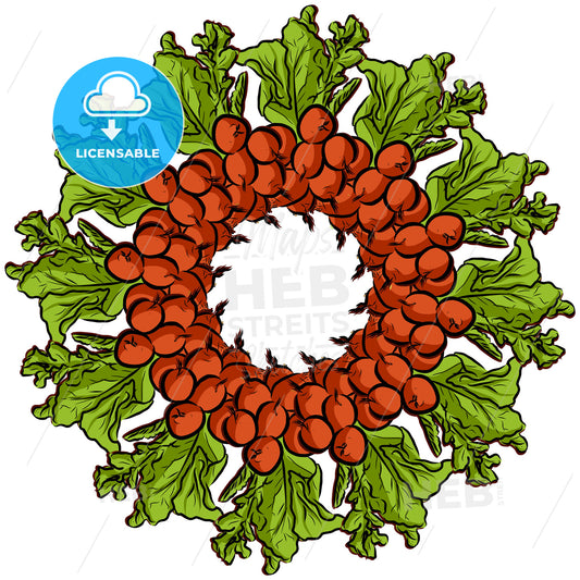 Many Radishes arranged in a circle on white – instant download