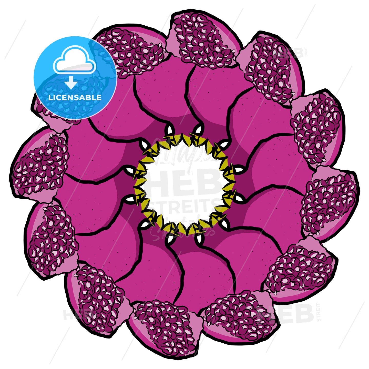 Many pomegranates arranged in a circle on white – instant download