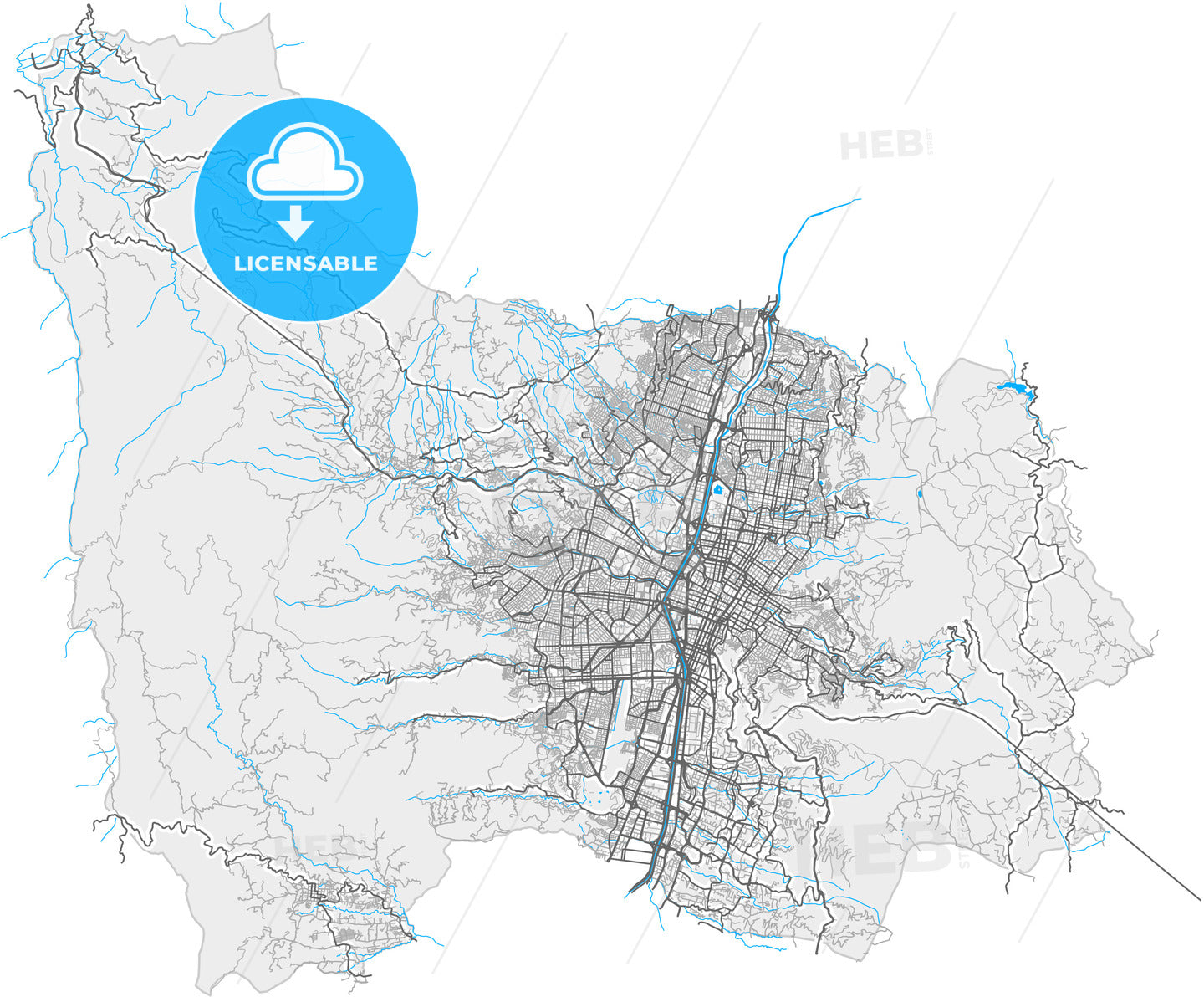 Medellin, Colombia, high quality vector map