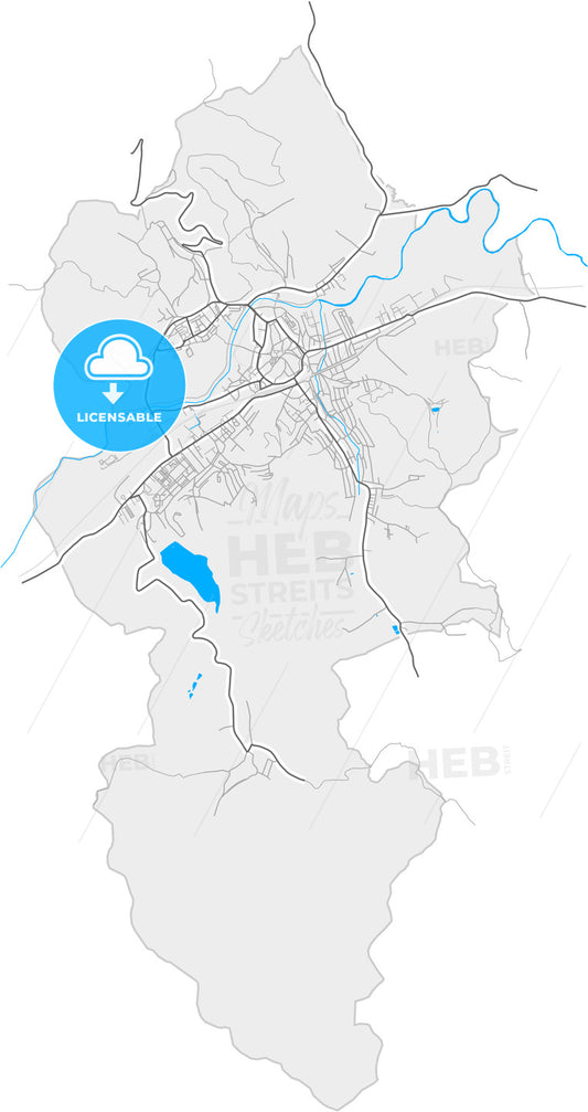 Mediaș, Sibiu, Romania, high quality vector map