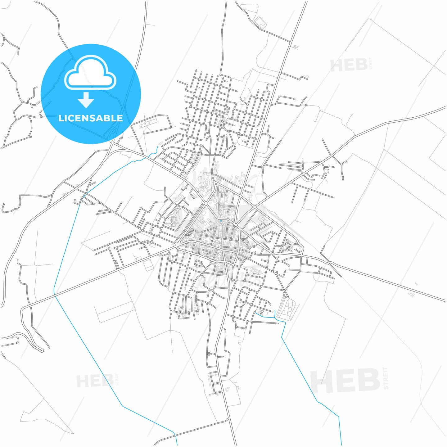 Negotin, Bor, Serbia, city map with high quality roads.