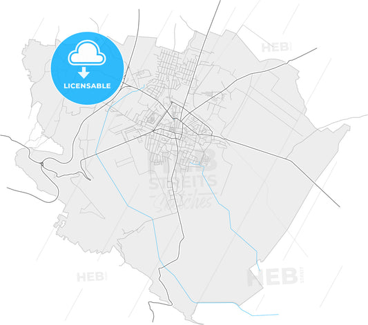 Negotin, Bor, Serbia, high quality vector map