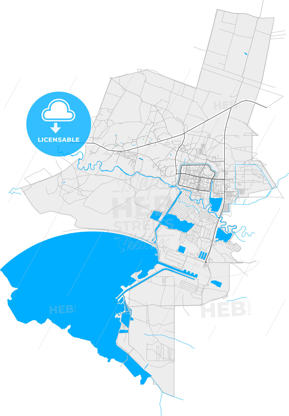 Netishyn, Khmelnytskyi Oblast, Ukraine, high quality vector map