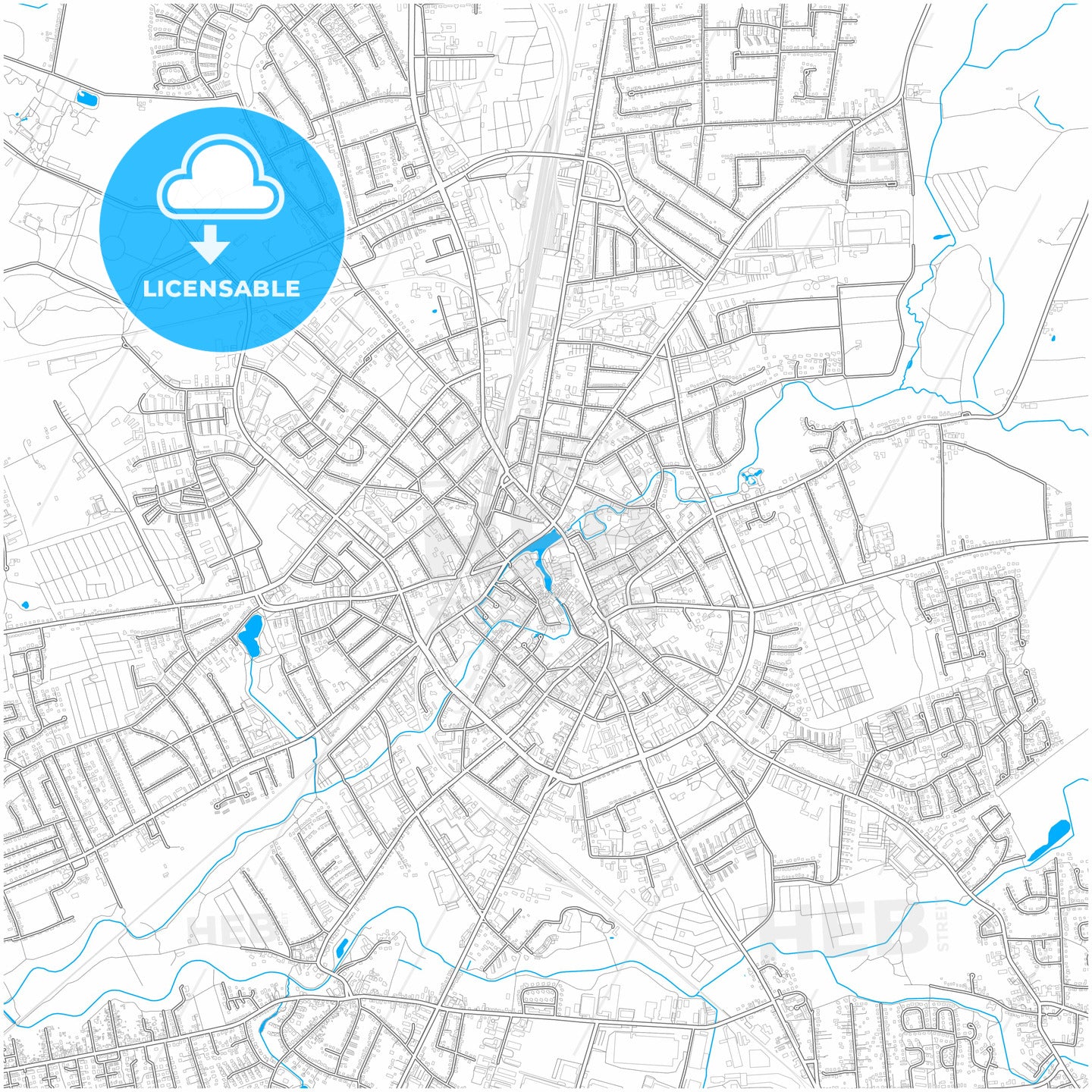 Neumunster, Schleswig-Holstein, Germany, city map with high quality roads.