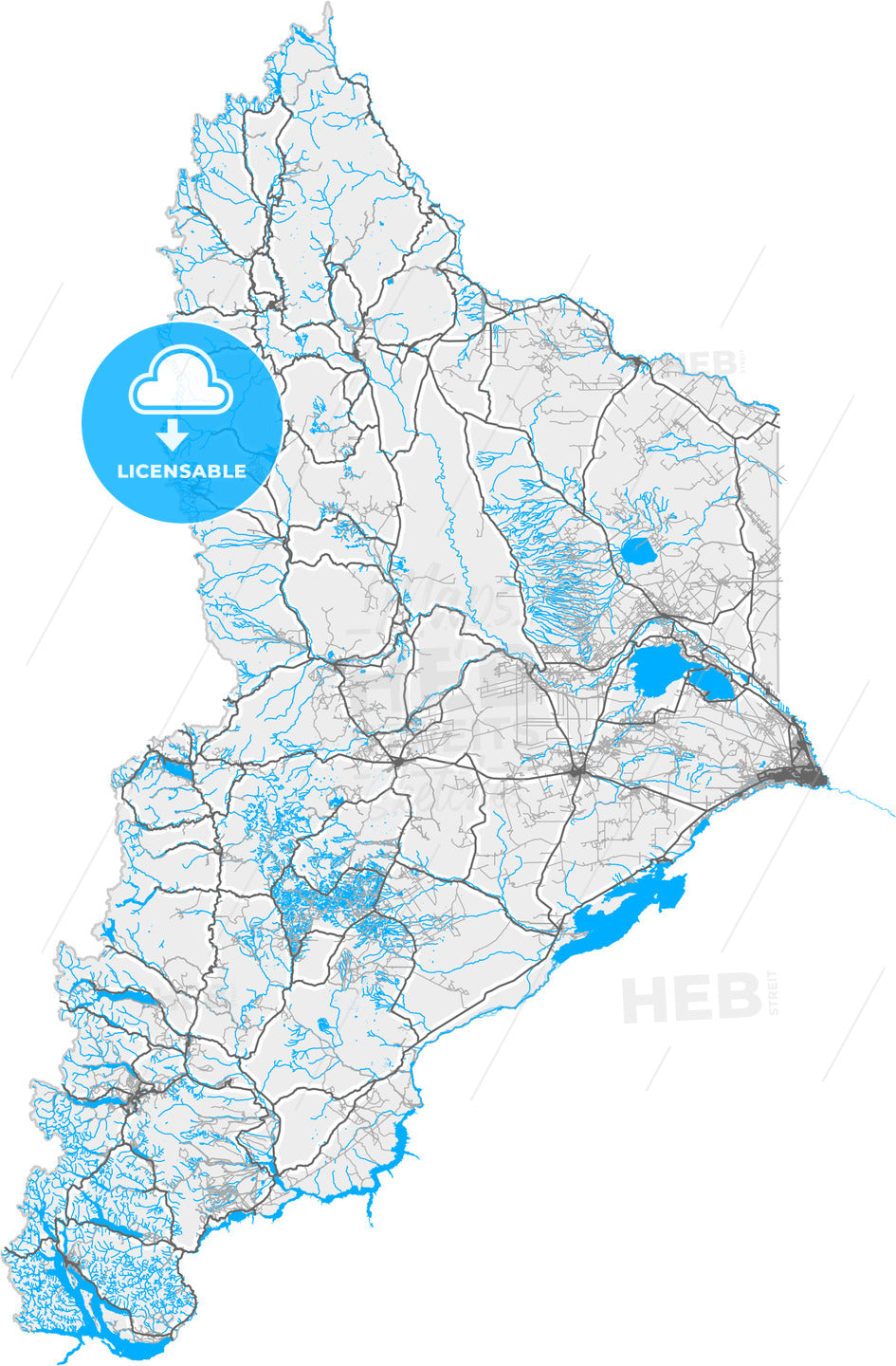 Neuquen, Argentina, high quality vector map