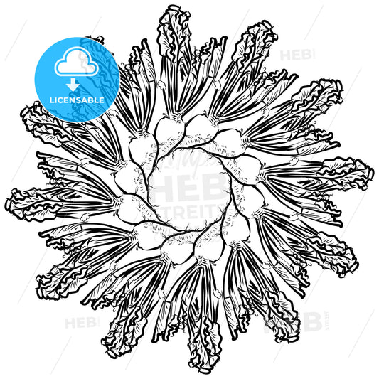 Outline sketch of Sugar Beet arranged in a circle – instant download