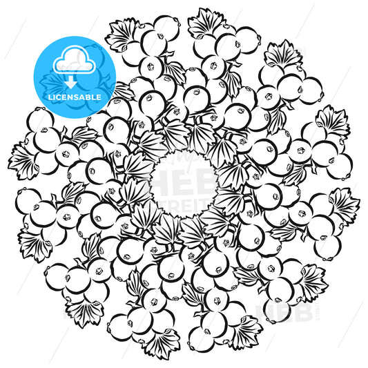 Outline sketch of currants arranged in a circle – instant download