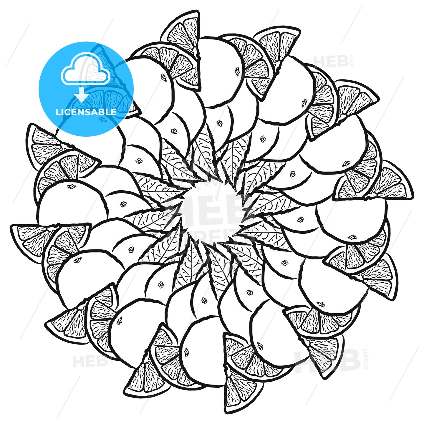 Outline sketch of oranges arranged in a circle – instant download