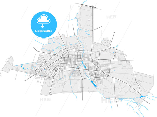 Pabianice, Łódź, Poland, high quality vector map