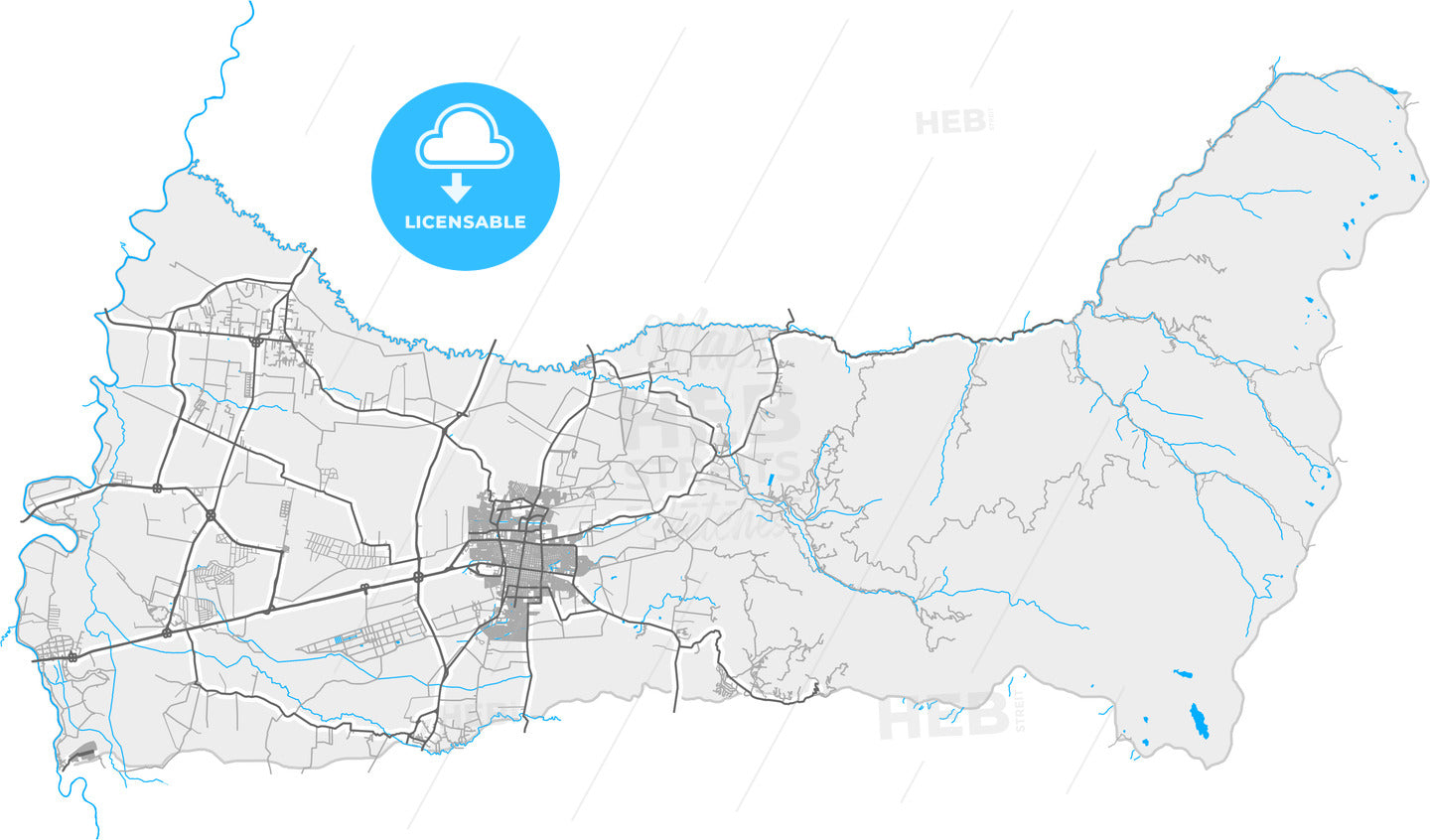 Palmira, Colombia, high quality vector map