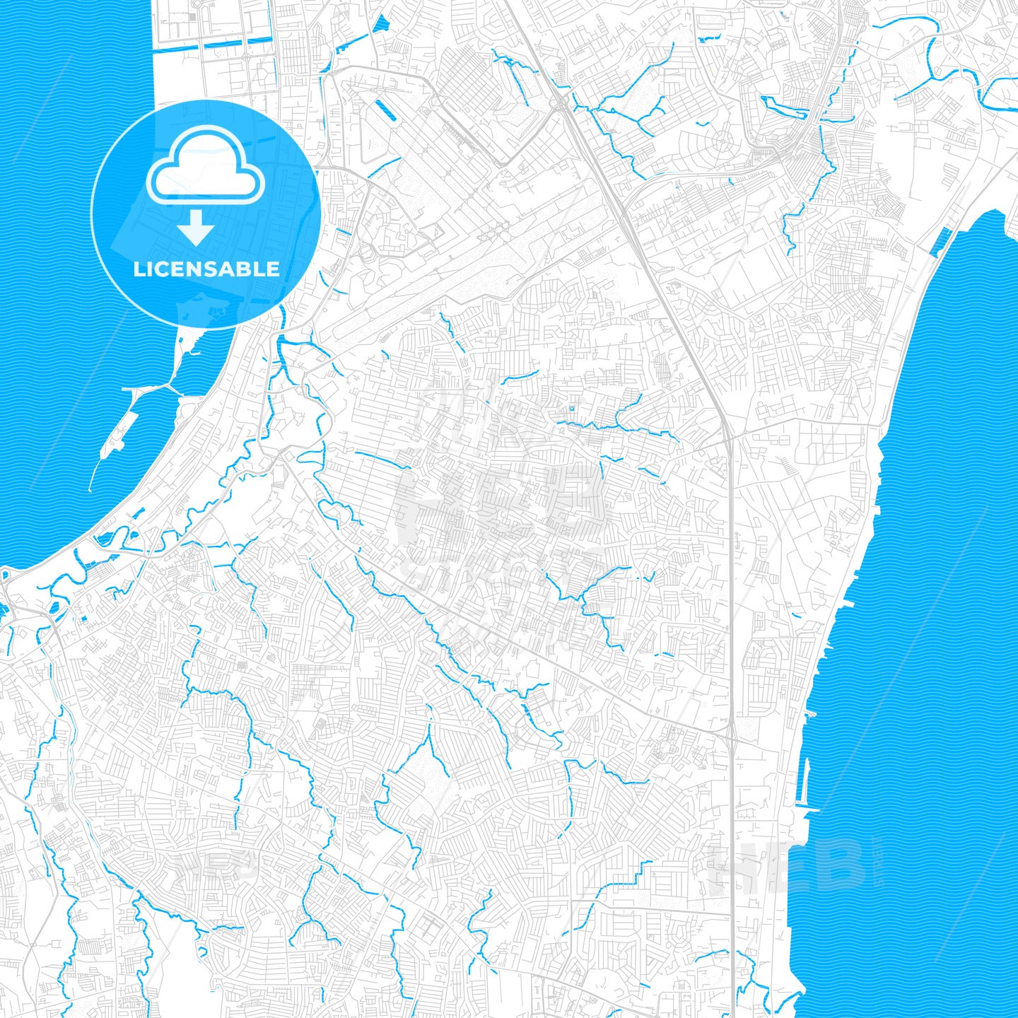 Parañaque, Philippines PDF vector map with water in focus