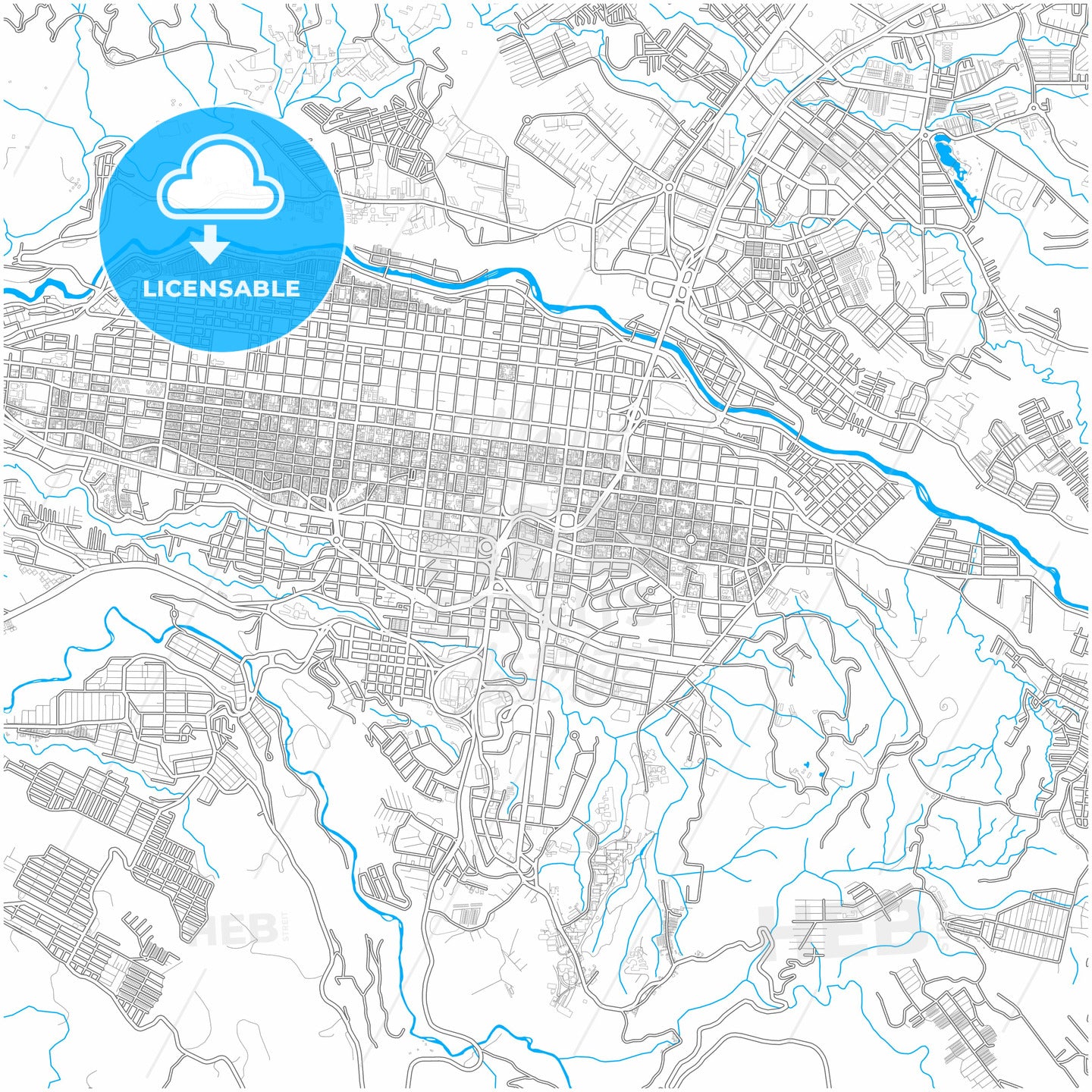 Pereira, Colombia, city map with high quality roads.