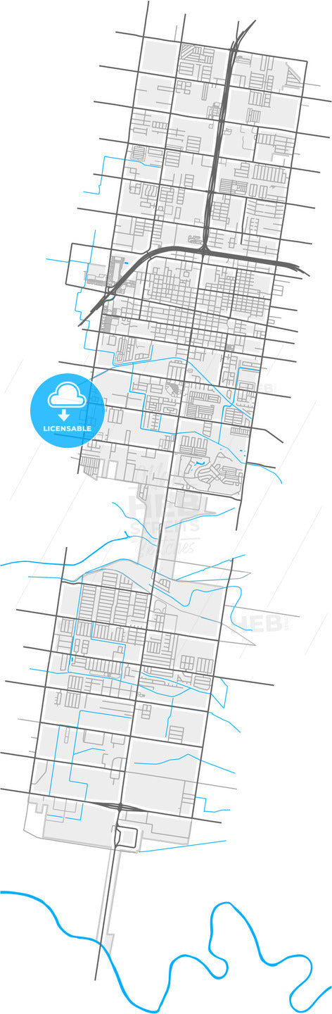 Pharr, Texas, United States, high quality vector map