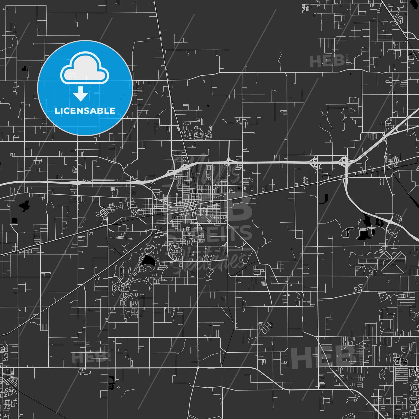 Plant City, Florida - Area Map - Dark