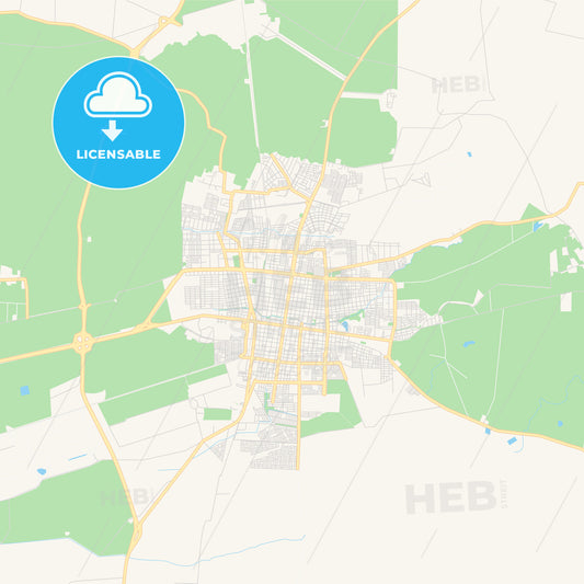 Printable street map of Palmira, Colombia