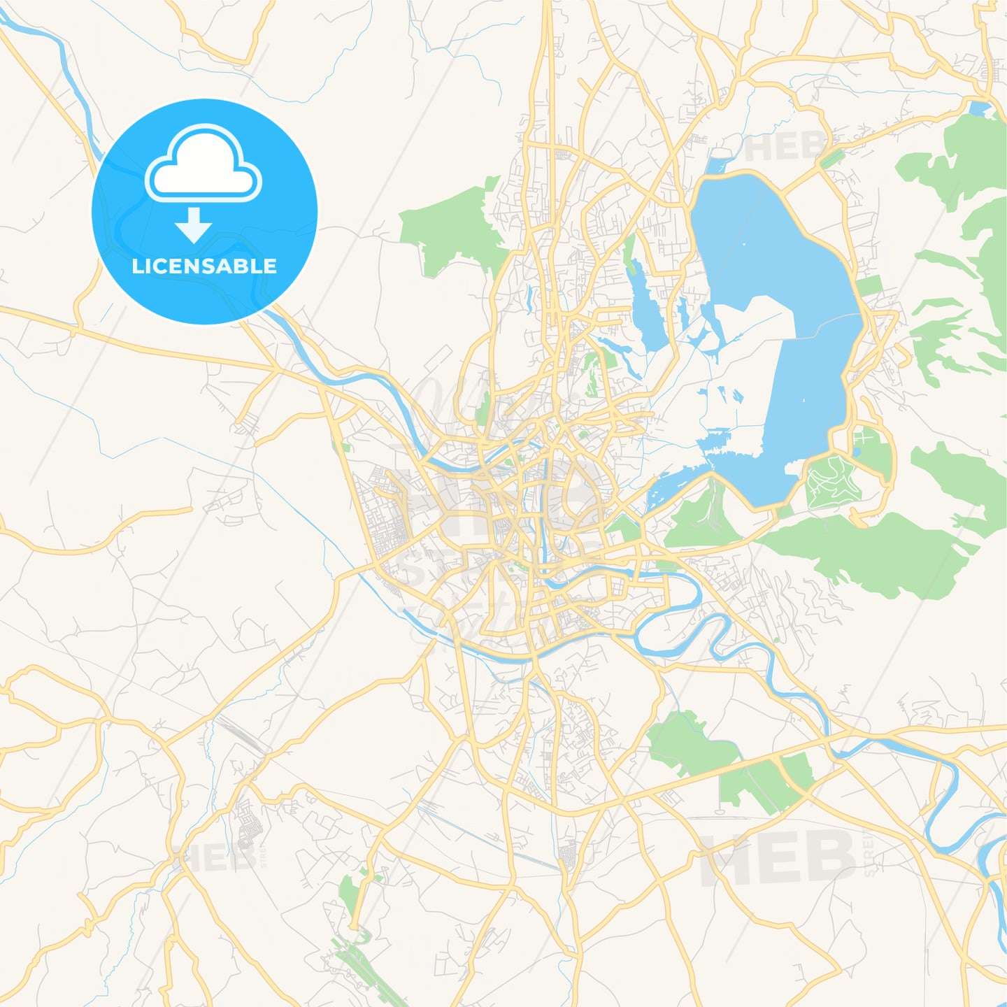 Printable street map of Srinagar, India