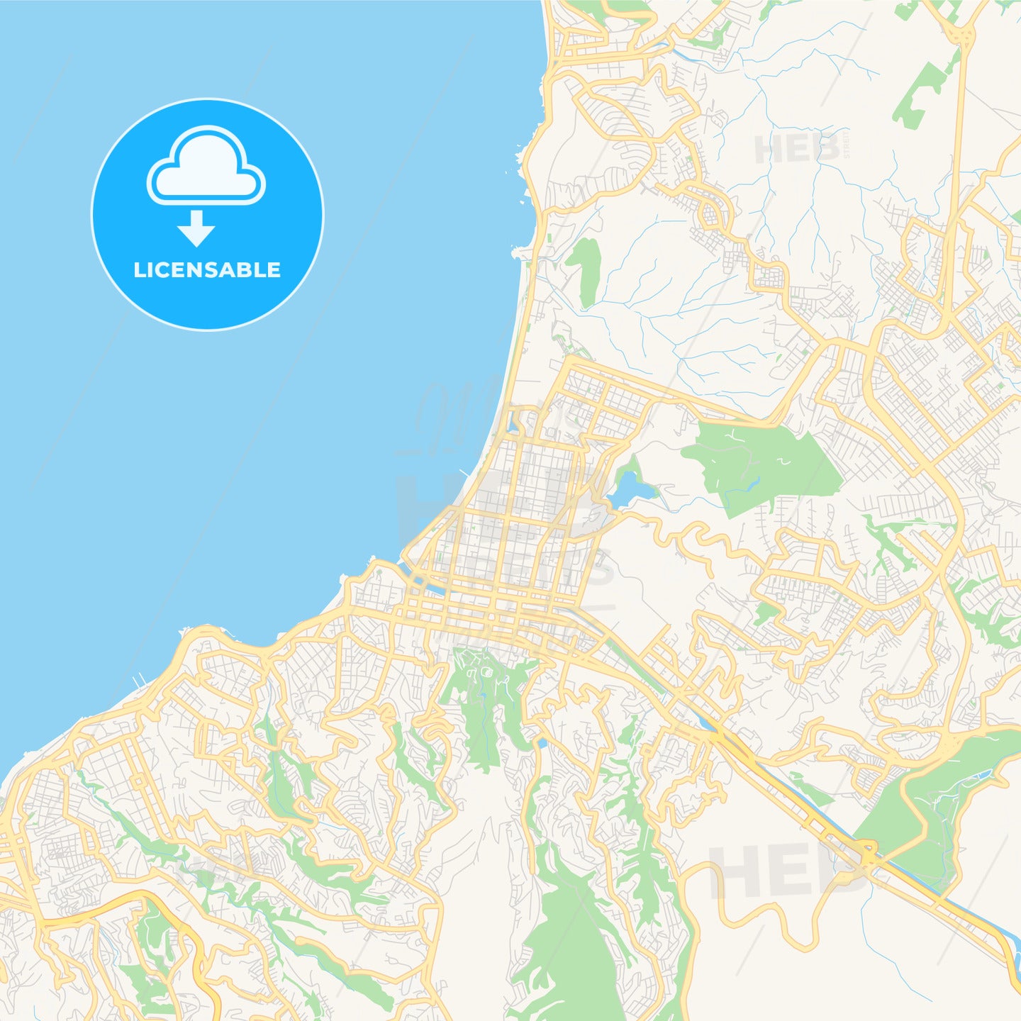 Printable street map of Vina del Mar, Chile