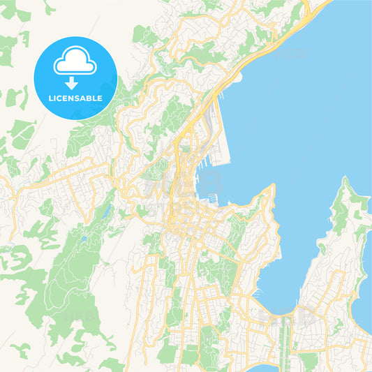 Printable street map of Wellington, New Zealand