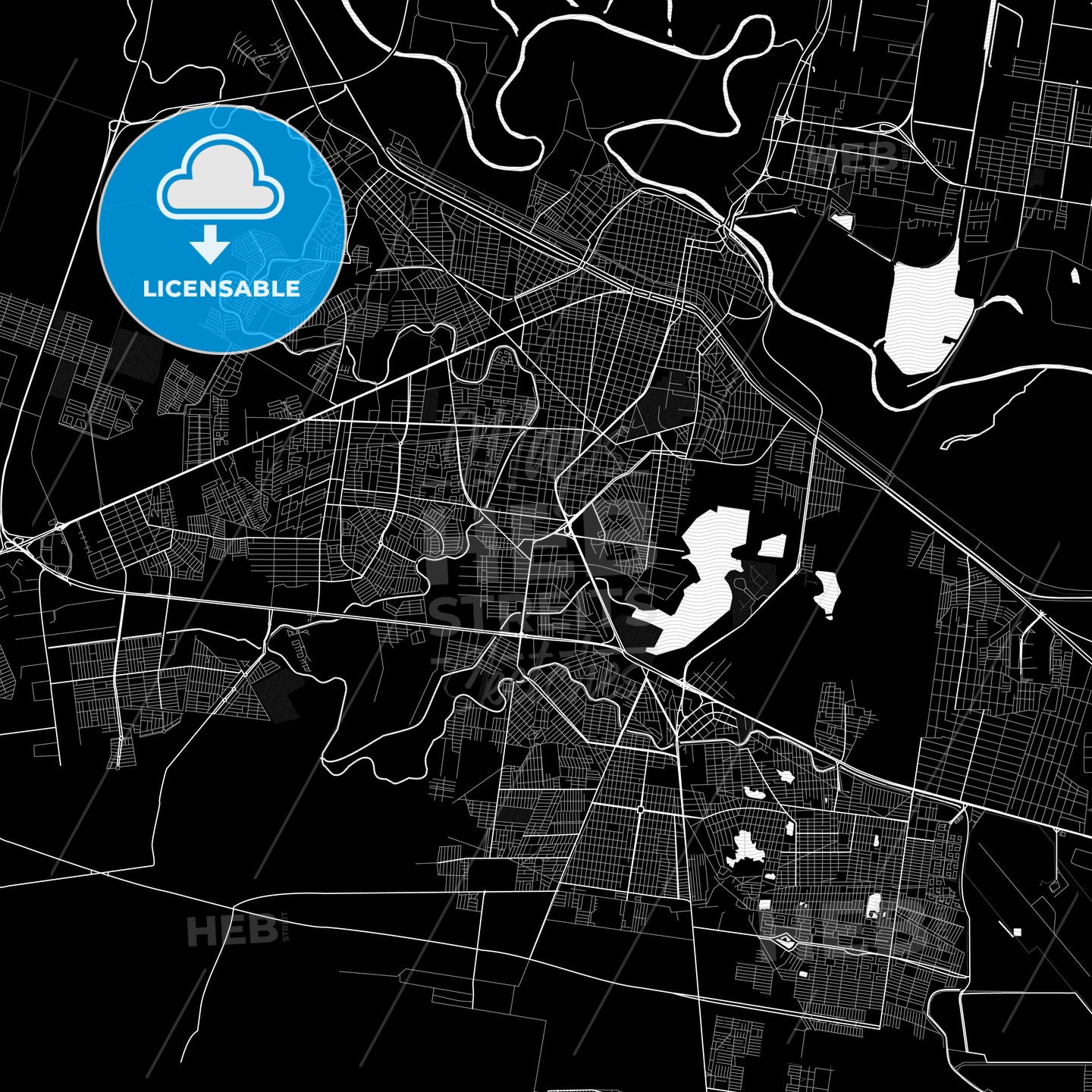 Reynosa, Mexico PDF map