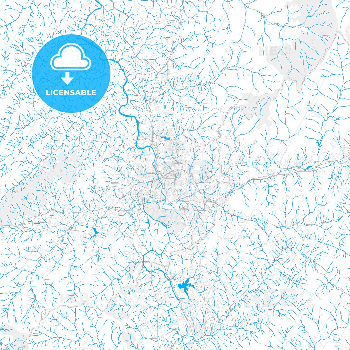 Rich detailed vector map of Asheville, North Carolina, USA