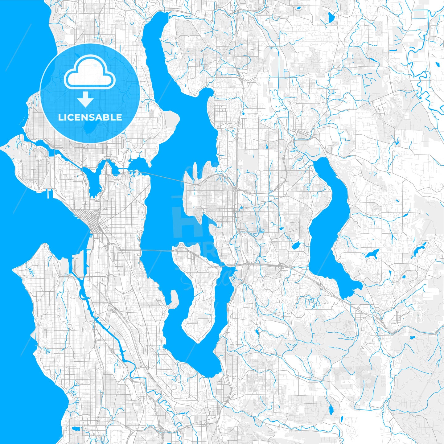 Rich detailed vector map of Bellevue, Washington, USA