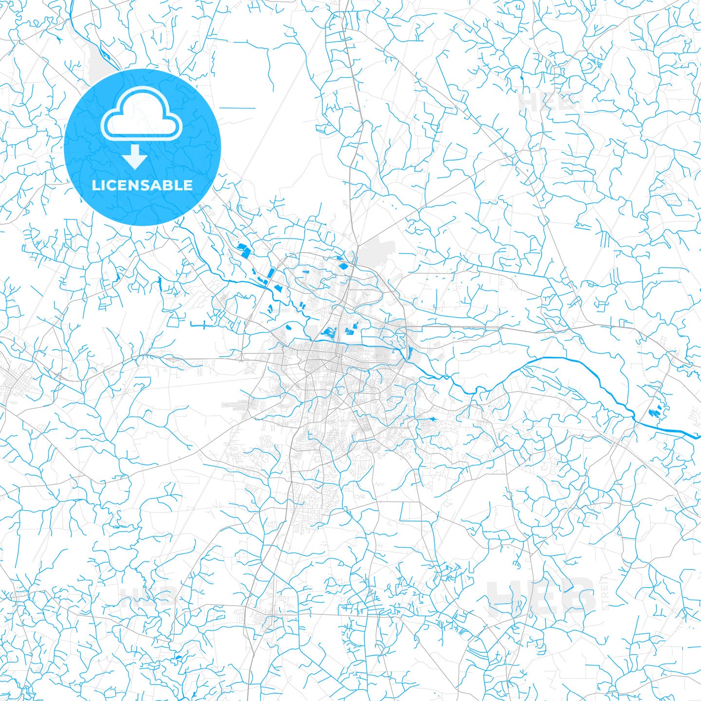 Rich detailed vector map of Greenville, North Carolina, USA