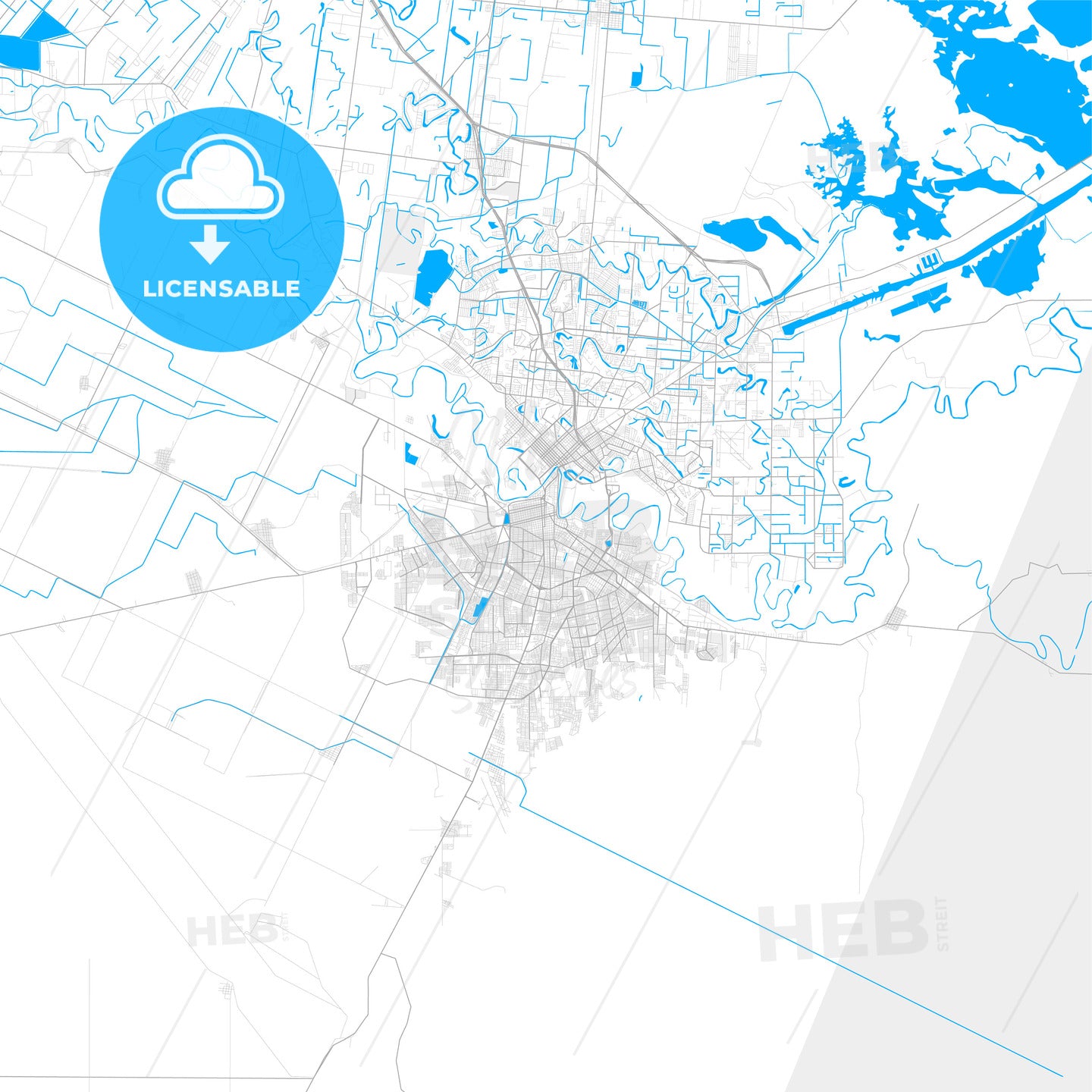 Rich detailed vector map of Matamoros, Tamaulipas, Mexico