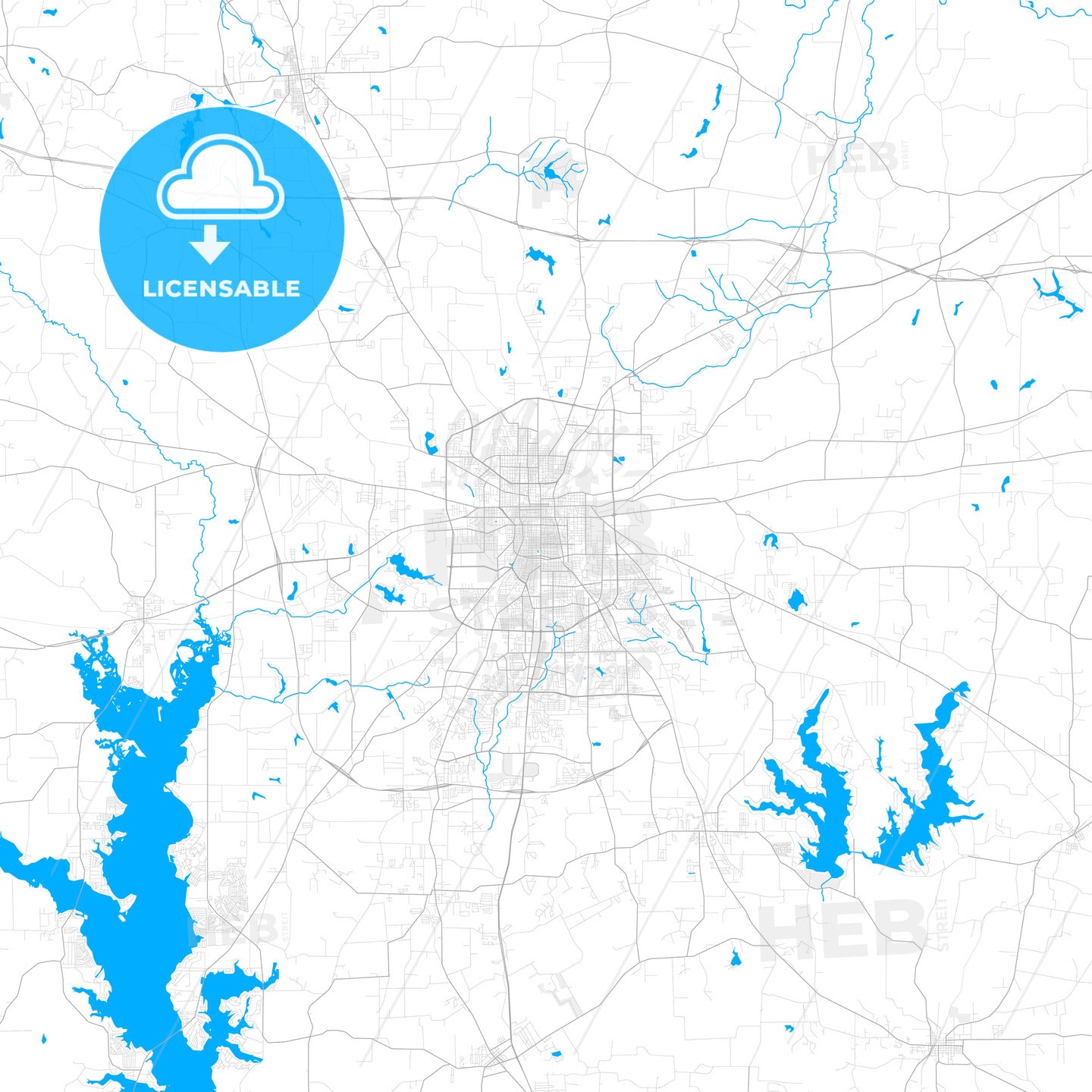 Rich detailed vector map of Tyler, Texas, USA